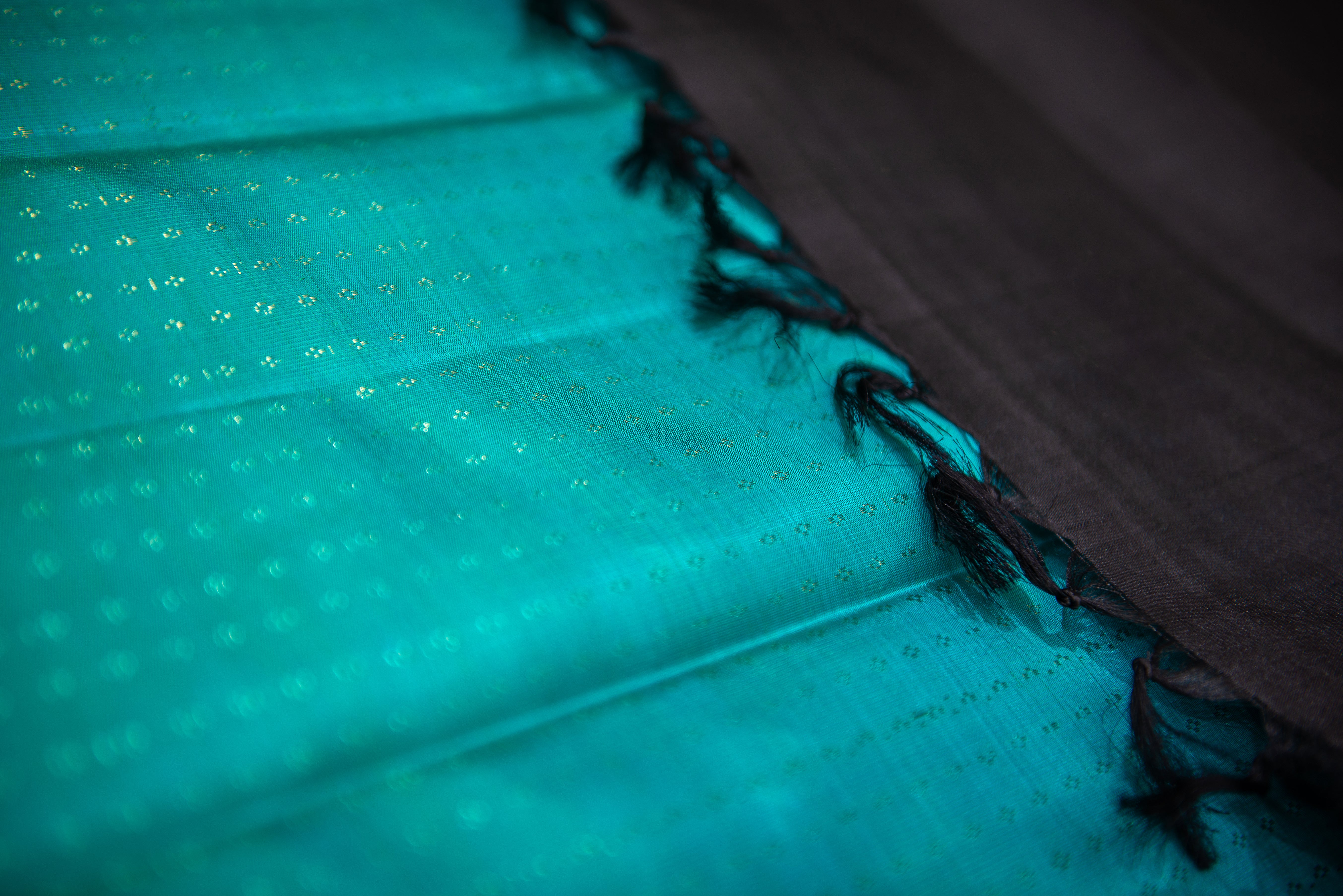 Black Kanchipuram Silk Saree with a Contrast Turquoise Blue Pallu