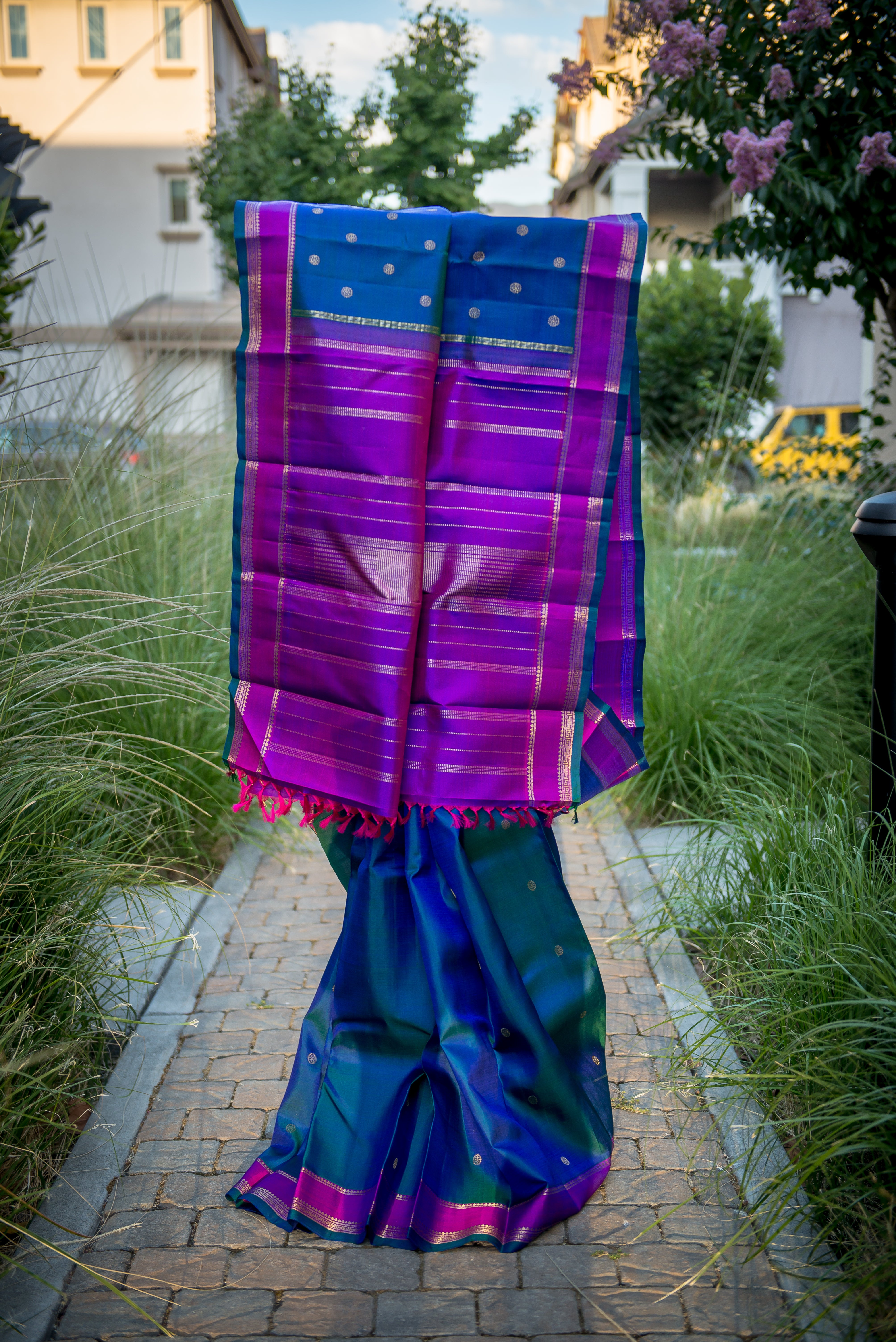 Pure Kanchipuram Silk