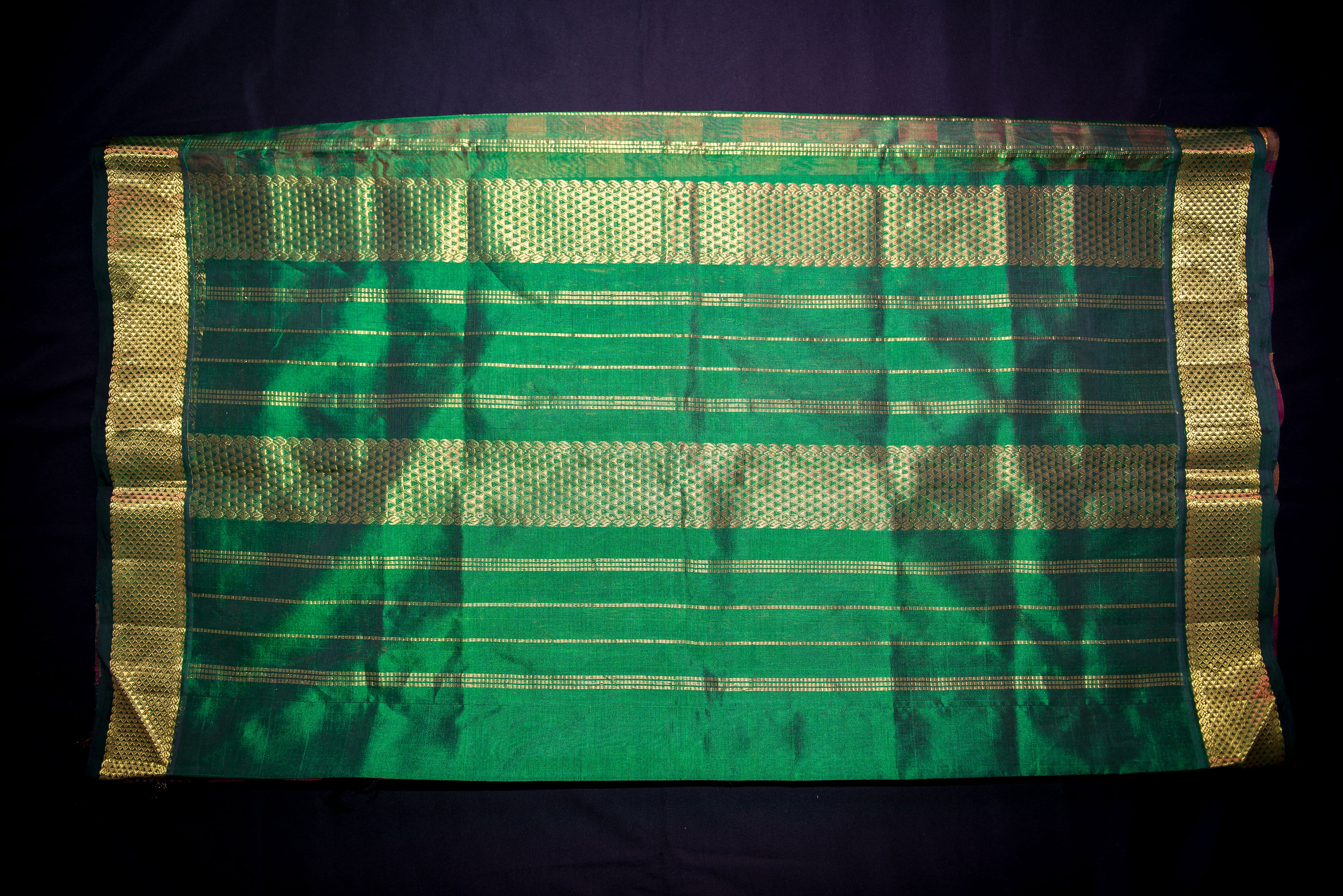 Paalum Pazhamum Kattam Handloom Silk Cotton Saree