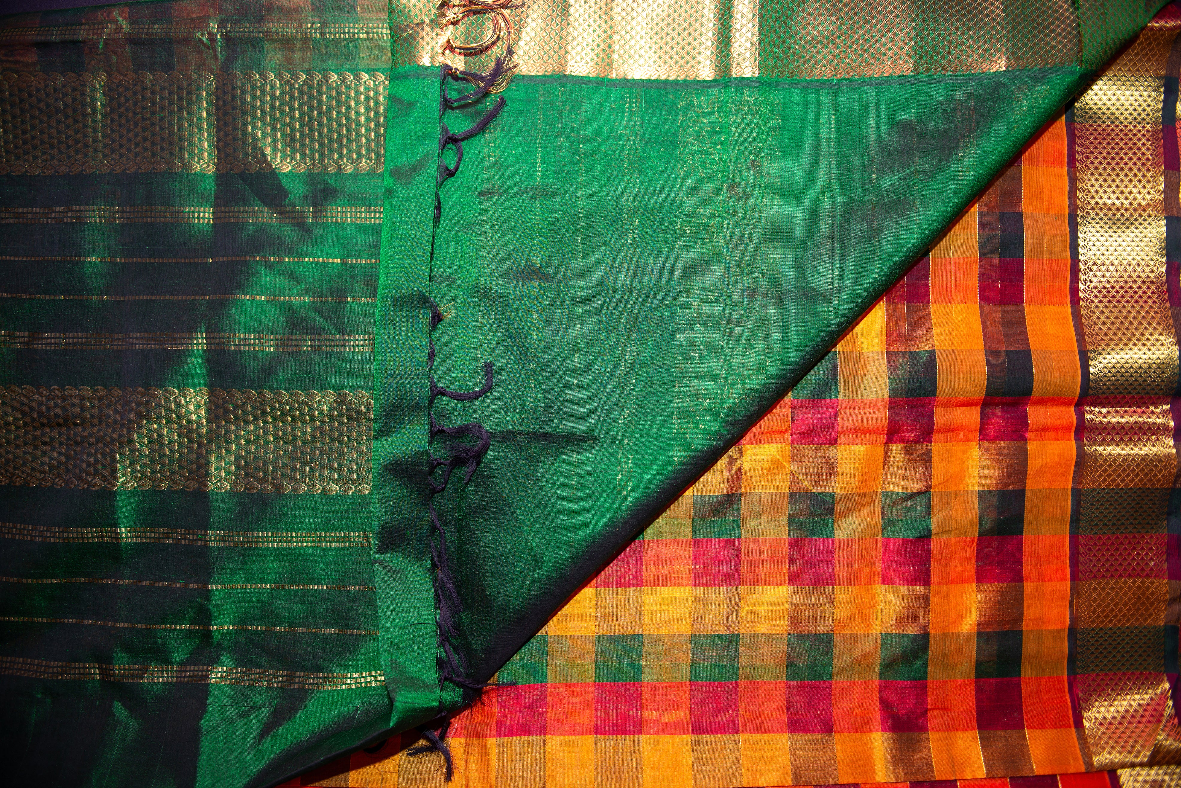 Paalum Pazhamum Kattam Handloom Silk Cotton Saree