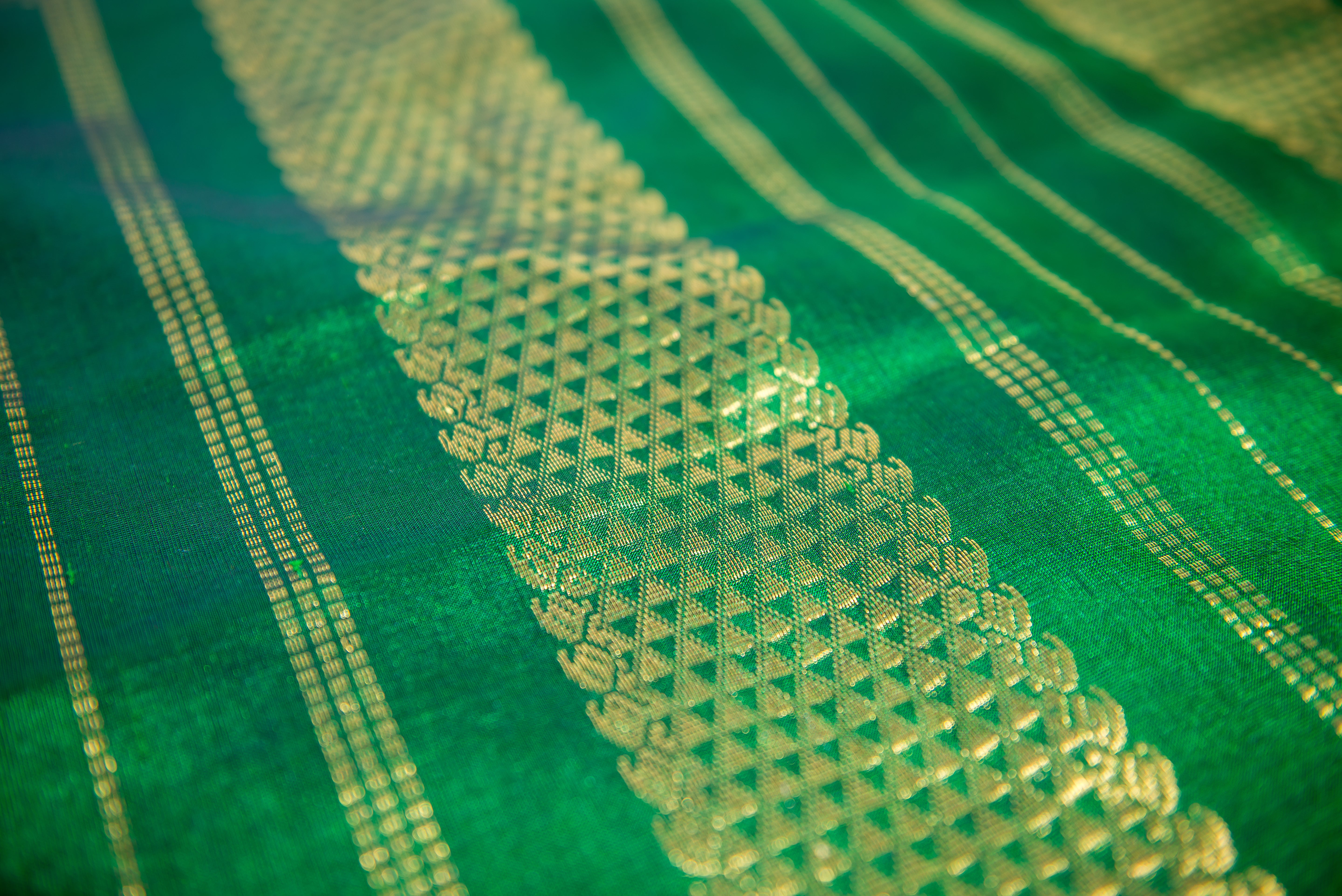 Paalum Pazhamum Kattam Handloom Silk Cotton Saree