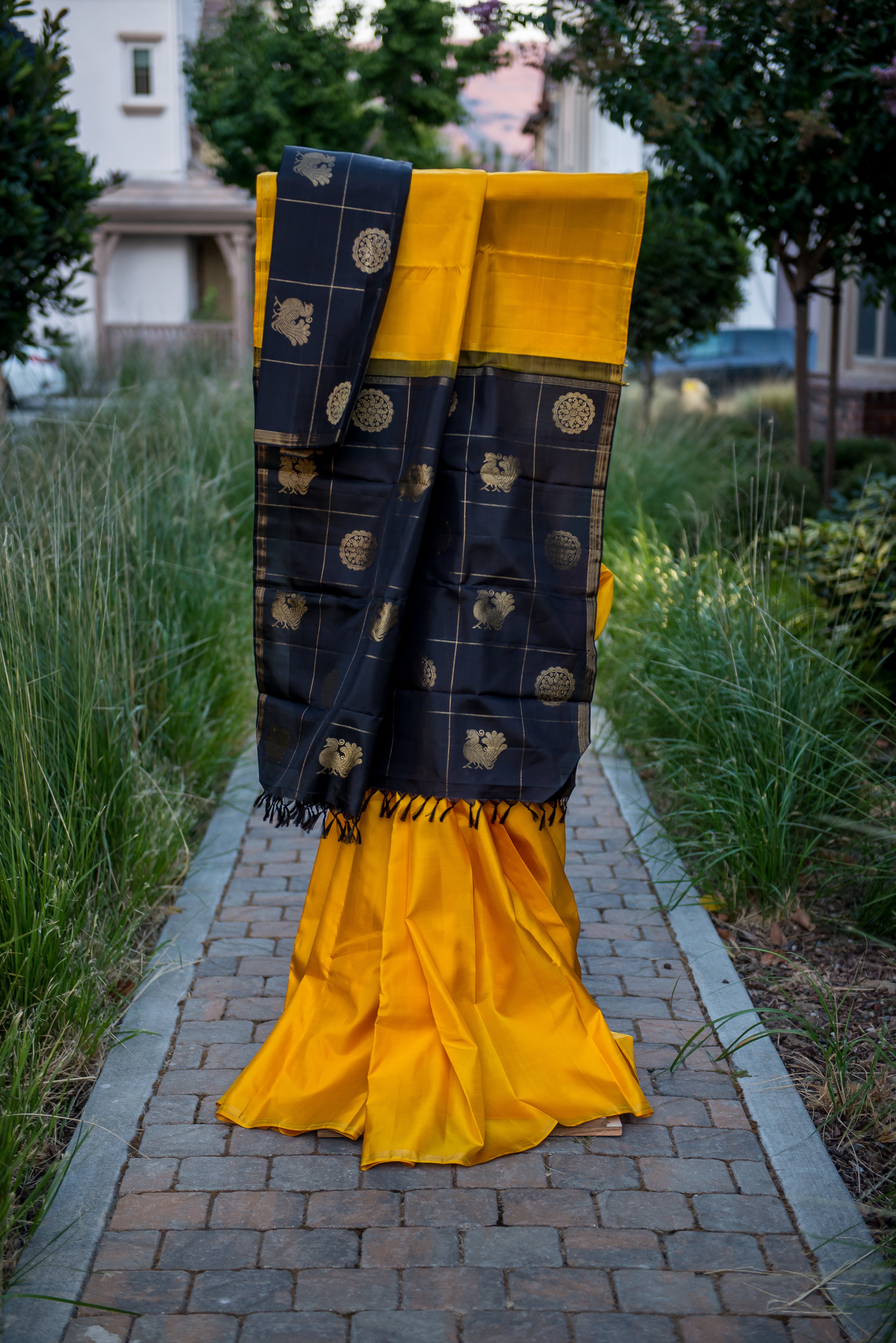 Bold Golden-Yellow Pure Silk Saree with a Black and Gold Pallu