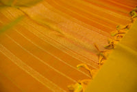 Dual-Tone Green Pure Silk Saree with a Simha Color Pallu