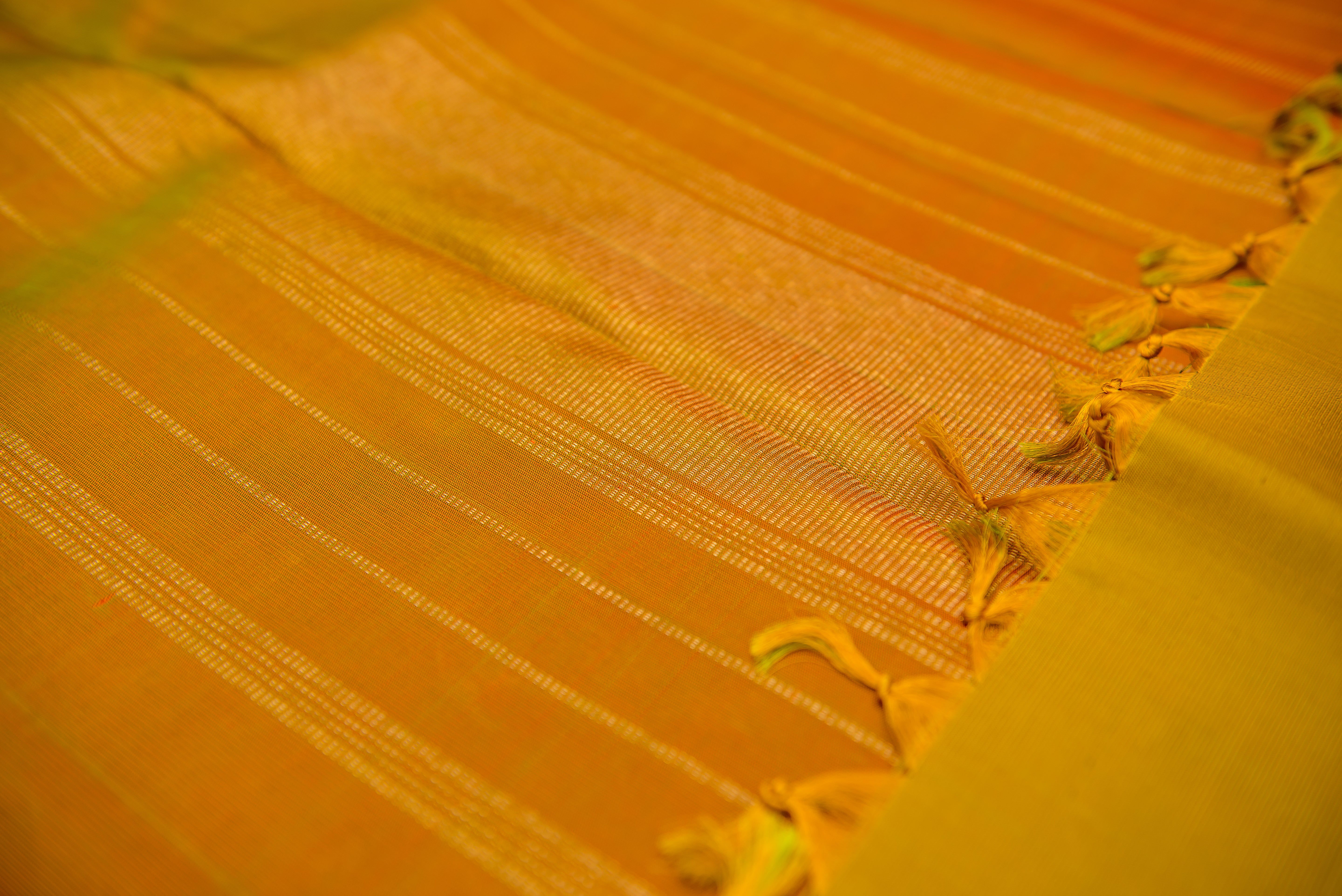 Dual-Tone Green Pure Silk Saree with a Simha Color Pallu