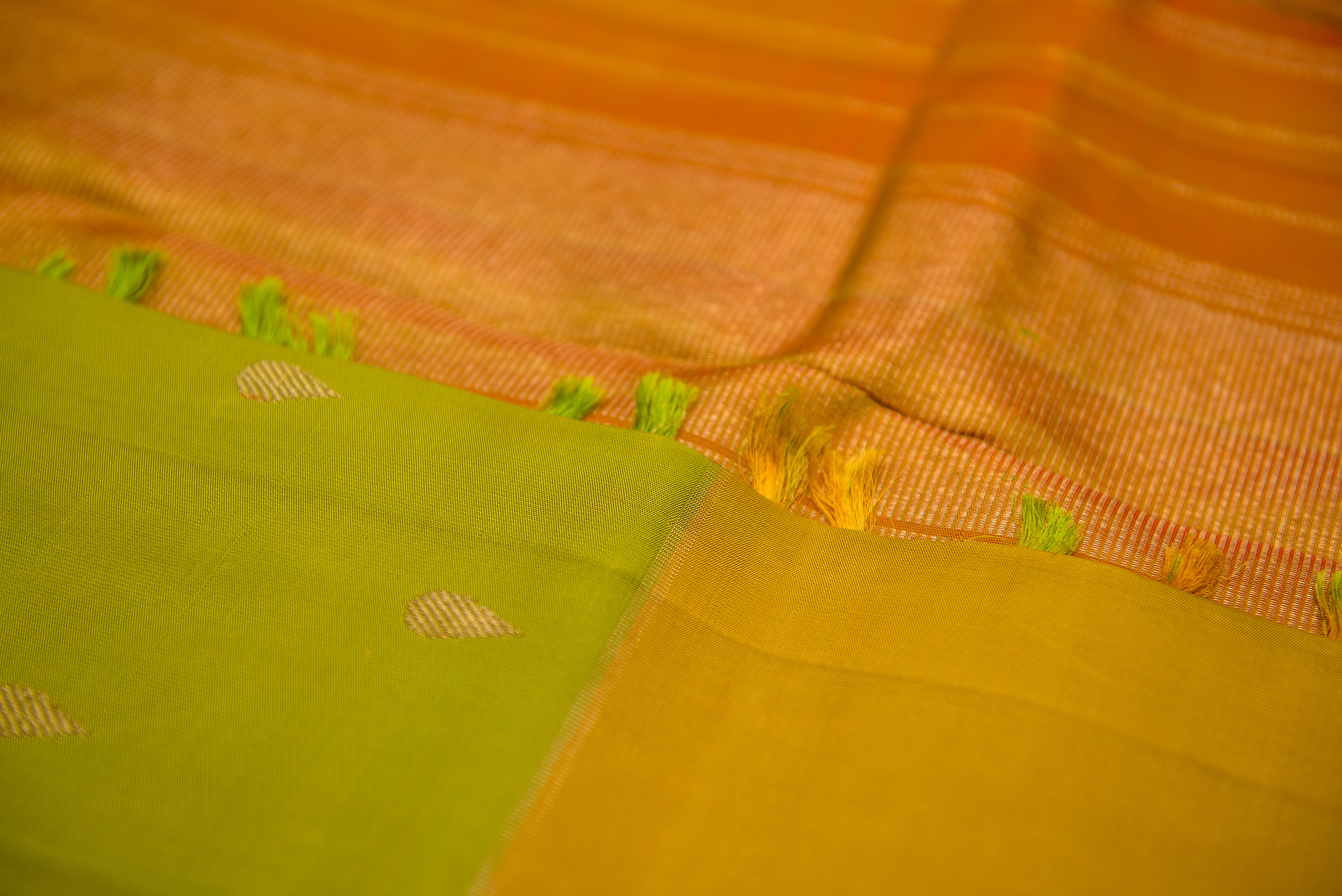 Dual-Tone Green Pure Silk Saree with a Simha Color Pallu