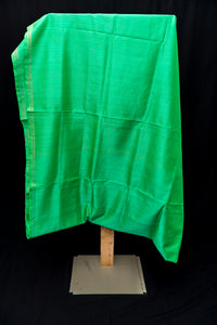 Luminous Electric Green Silk Cotton Saree with Zari Motifs