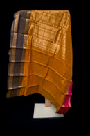 Magnificent Golden-Mustard Kanchi Cotton Saree with Grand Zari Pallu