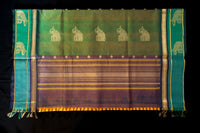 Emerald Forest & Amber Gold Silk Cotton Saree