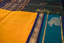 Emerald Forest & Amber Gold Silk Cotton Saree