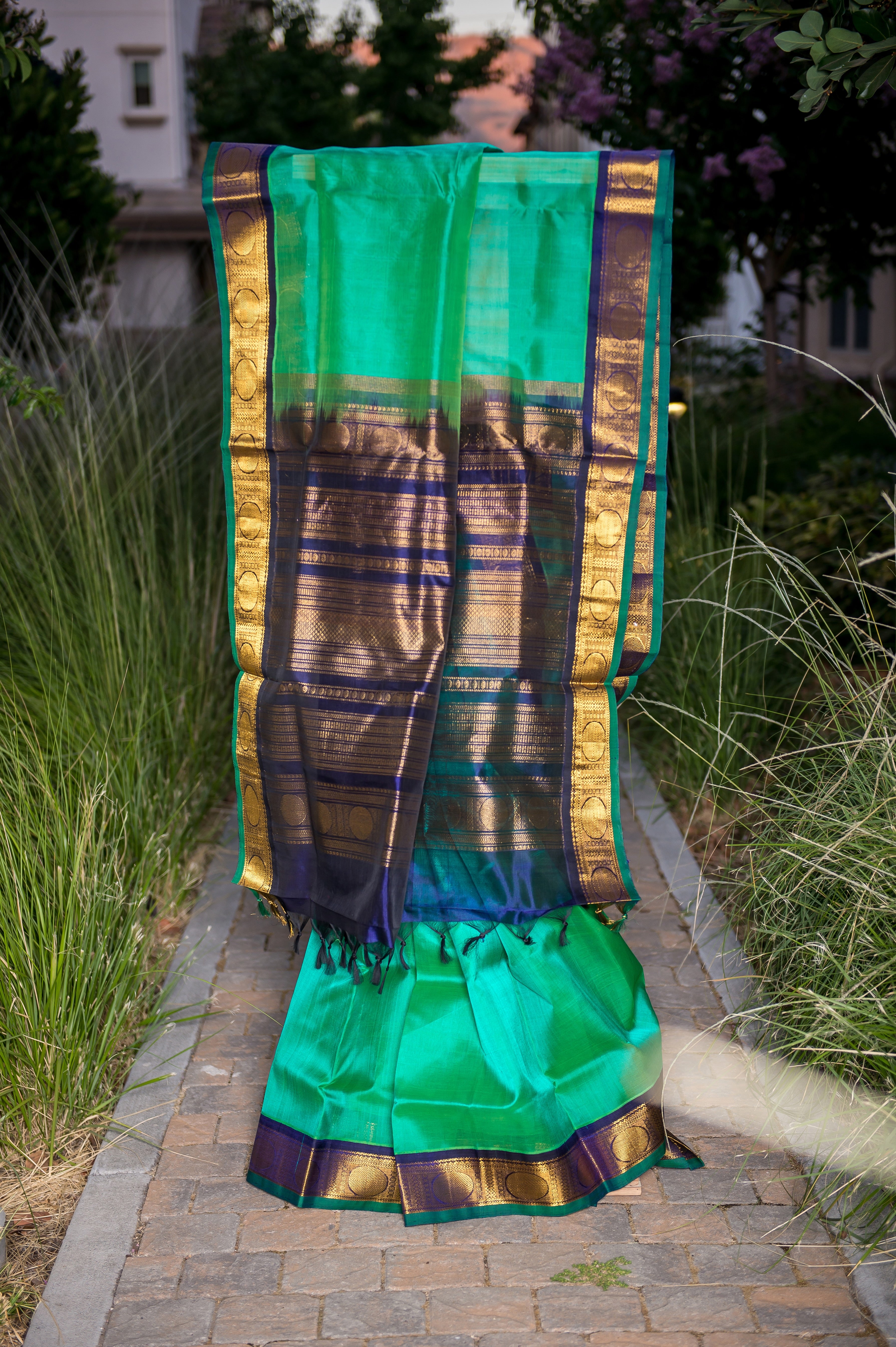 Emerald Green Silk Cotton Saree with Navy Blue-Golden Border