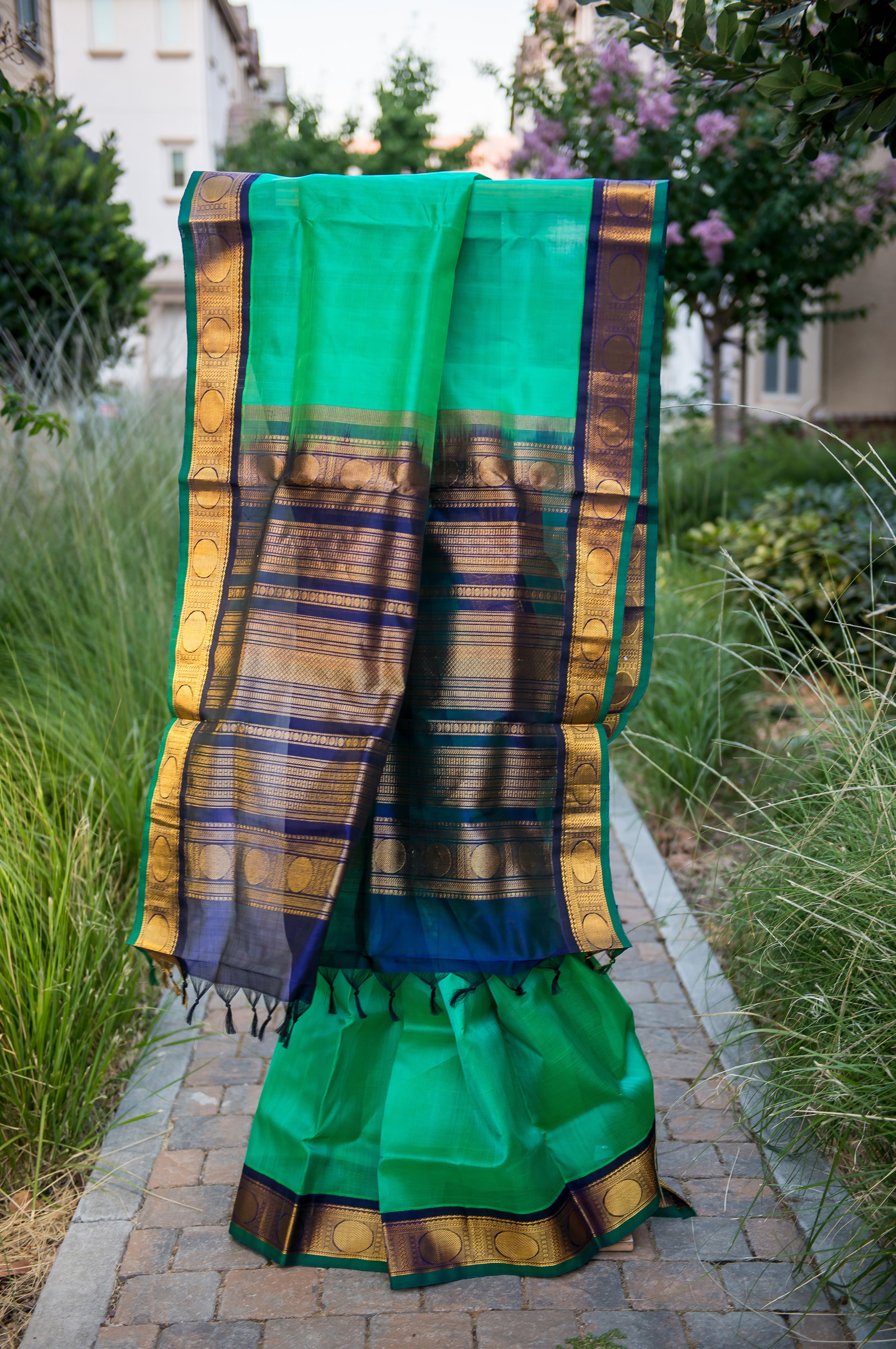 Emerald Green Silk Cotton Saree with Navy Blue-Golden Border