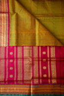 Mustard-Green Kattam Silk Cotton Saree with Maroon Border
