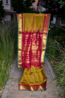 Mustard-Green Kattam Silk Cotton Saree with Maroon Border