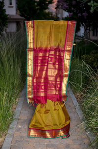 Mustard-Green Kattam Silk Cotton Saree with Maroon Border