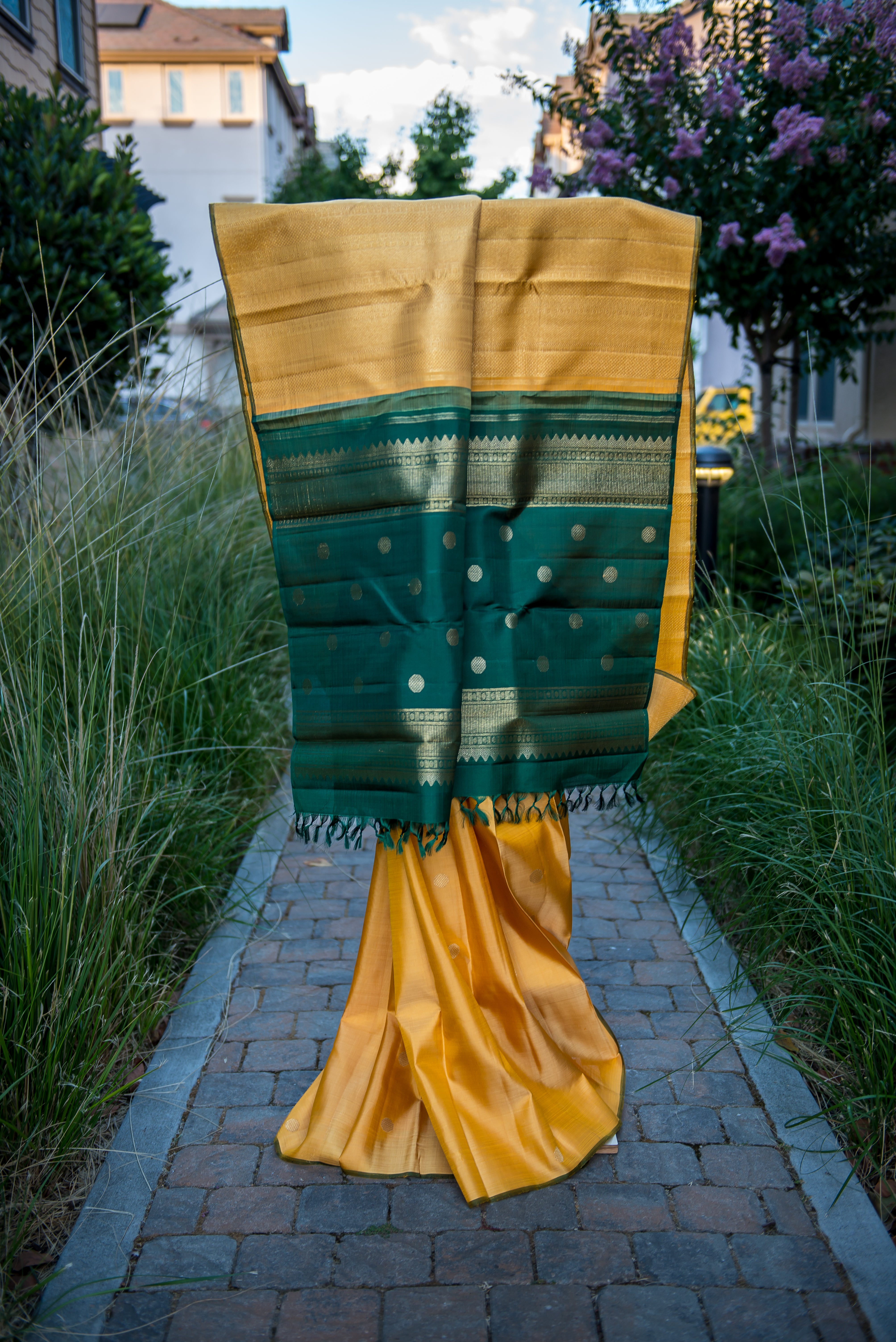Golden-Yellow Kanchipuram Pure Silk Partly Saree with Forest Green Pallu