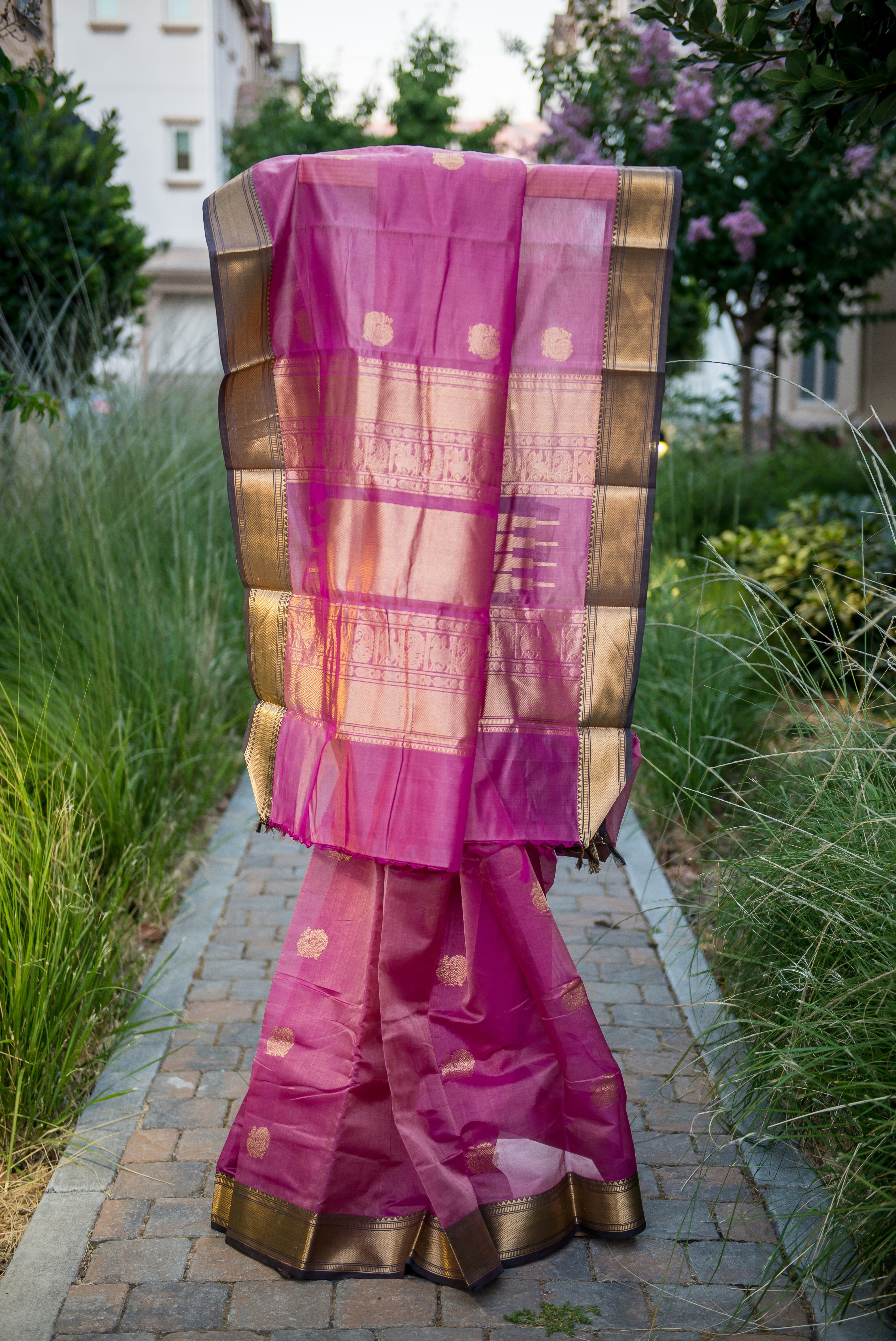 Pink Silk Cotton Saree with Grand Gold Zari Borders