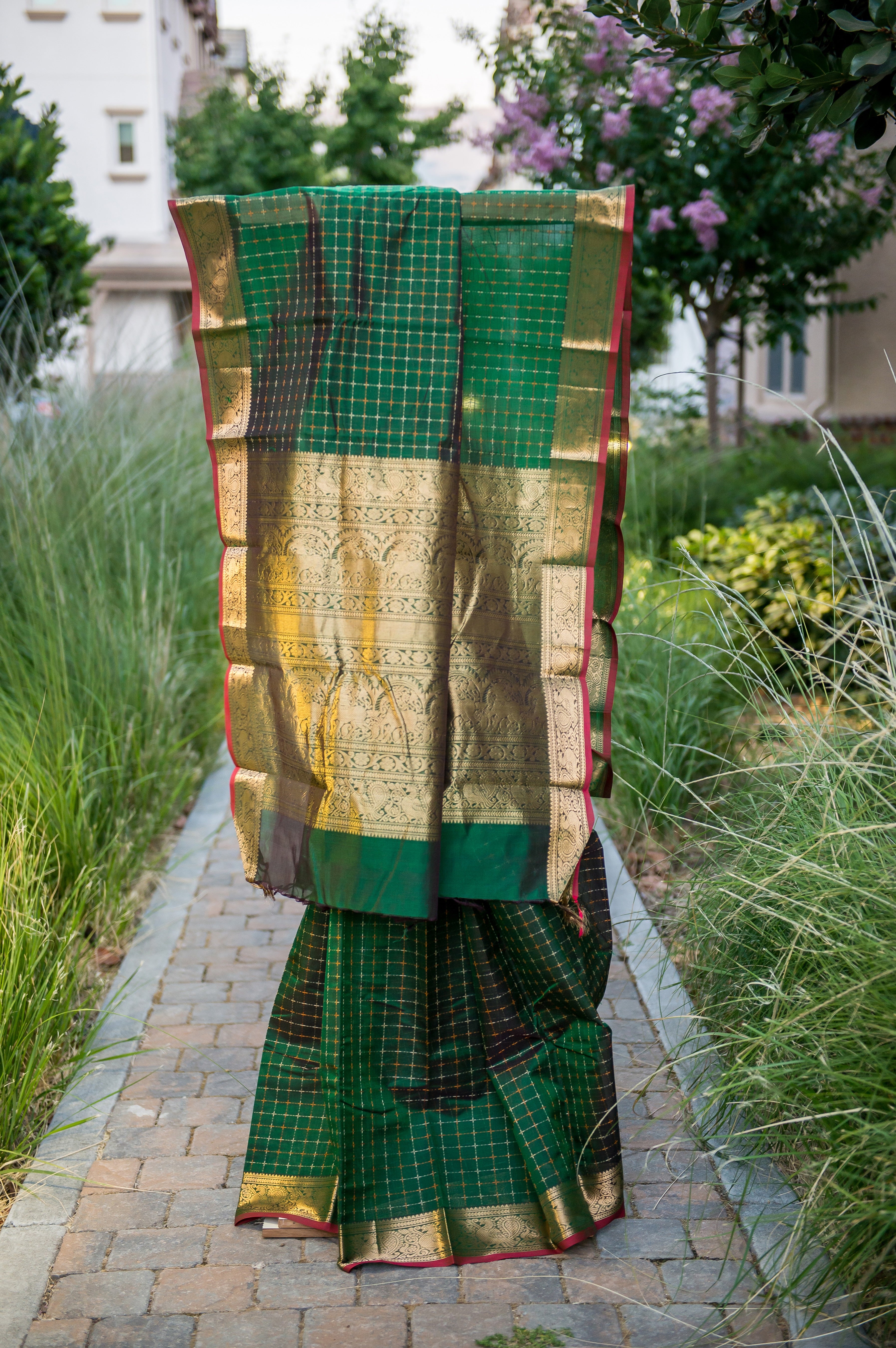 Regal Forest Green Handloom Silk Cotton Saree