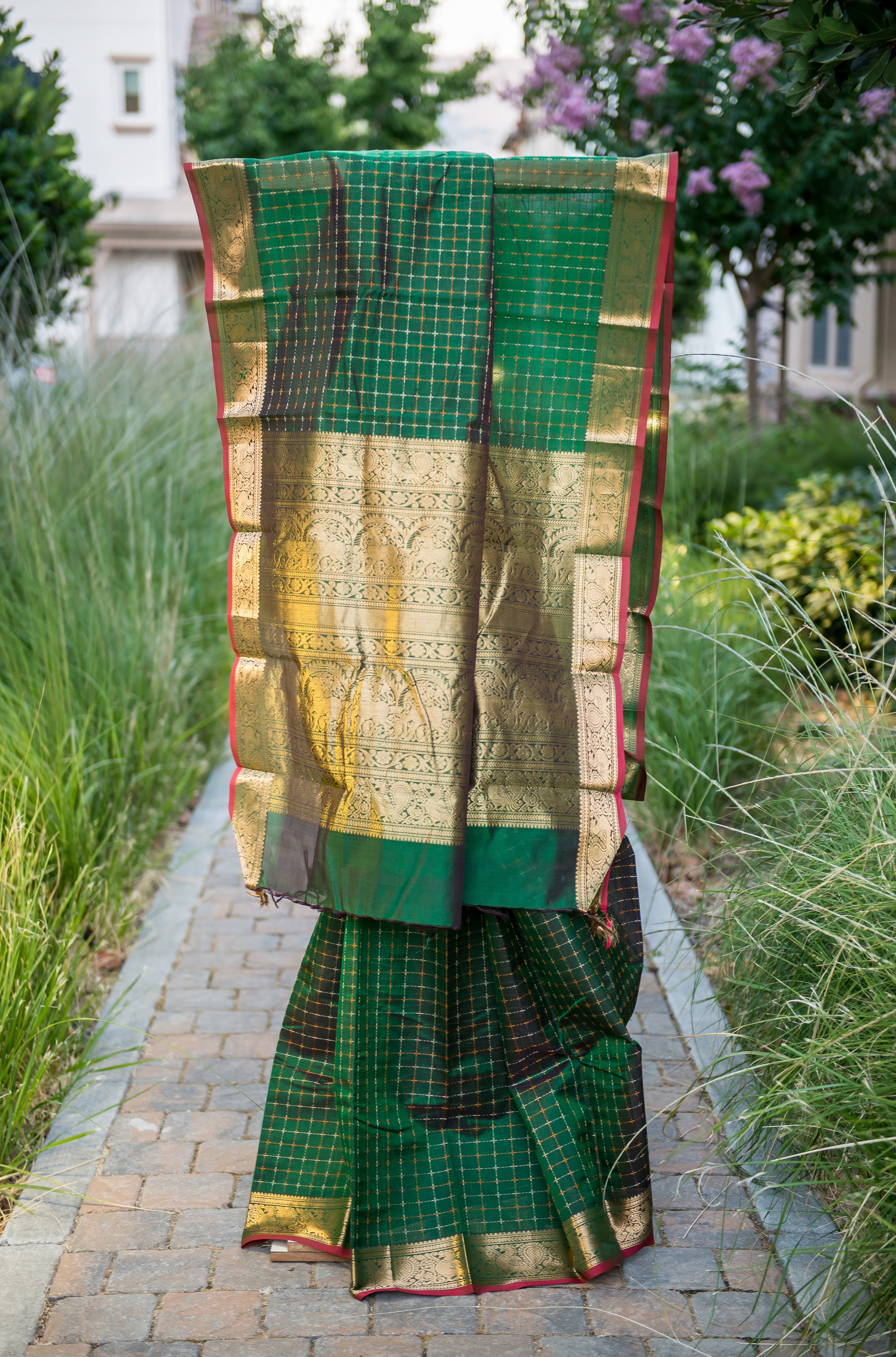 Regal Forest Green Handloom Silk Cotton Saree