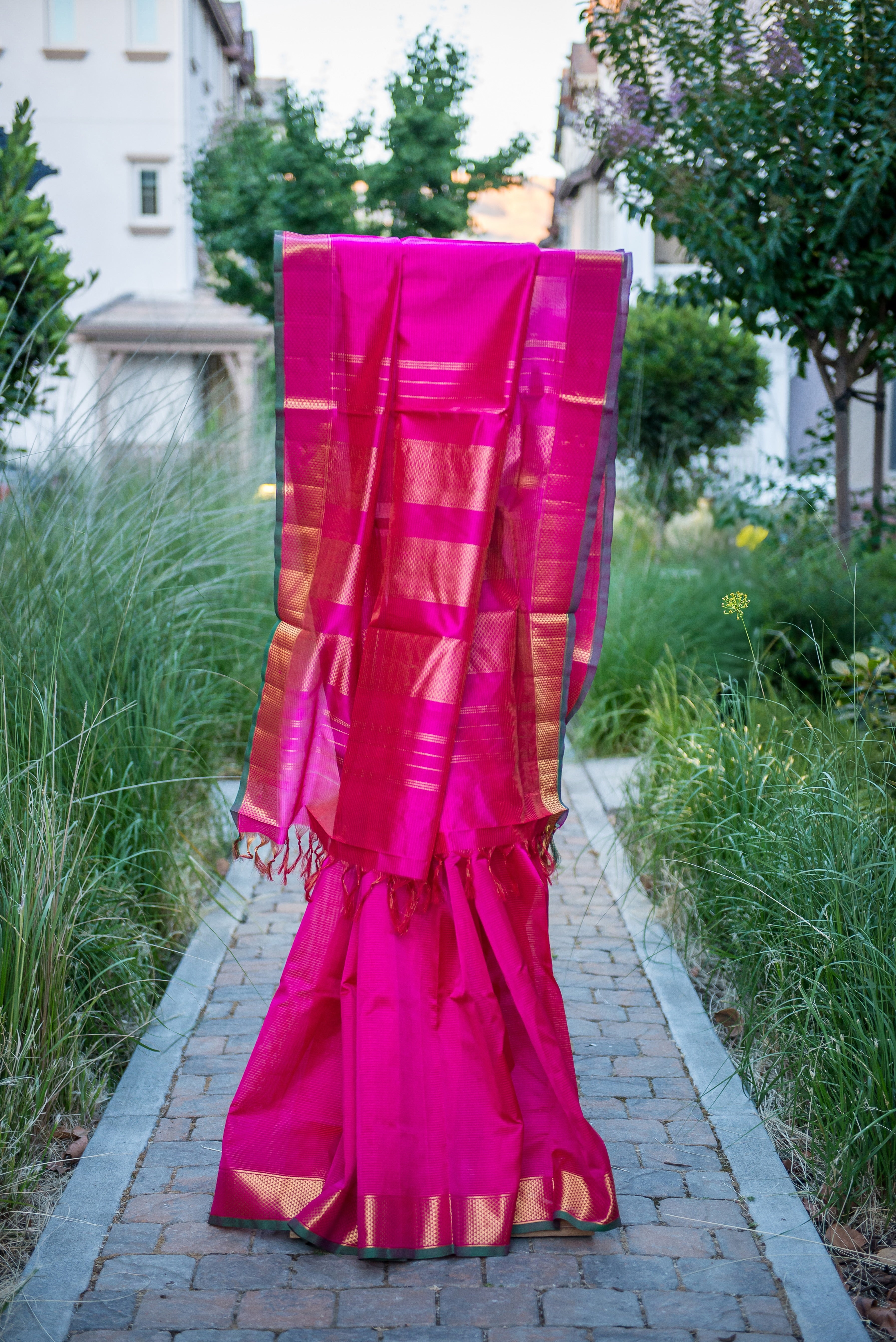 Striking Bright Pink Silk Cotton Saree with Pure Zari Border