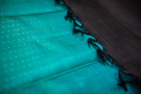 Black Kanchipuram Silk Saree with a Contrast Turquoise Blue Pallu
